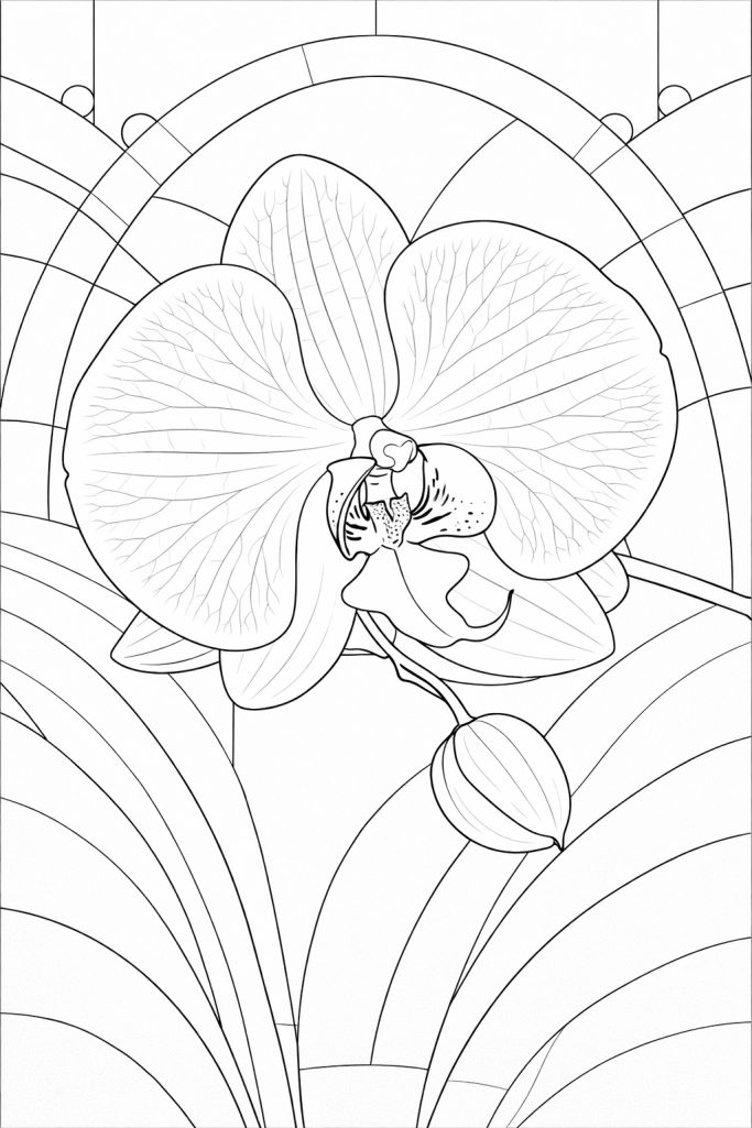 Kostenlose Probeseiten aus dem Glasgarten Orchideen Malbuch