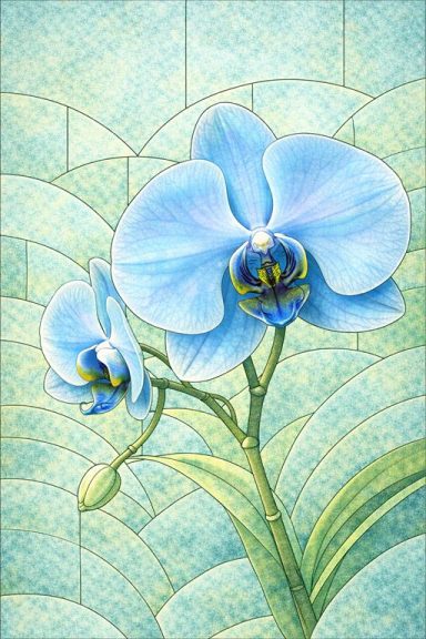 Glasgarten – Orchideen Anti-Stress Malbuch