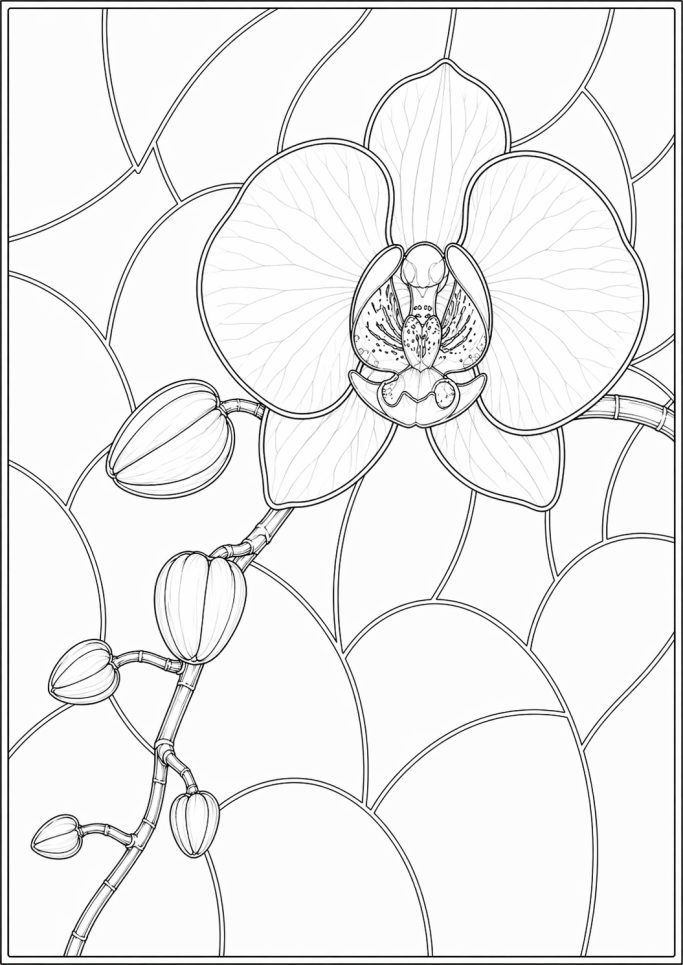 Kostenlose Probeseiten aus dem Glasgarten Orchideen Malbuch
